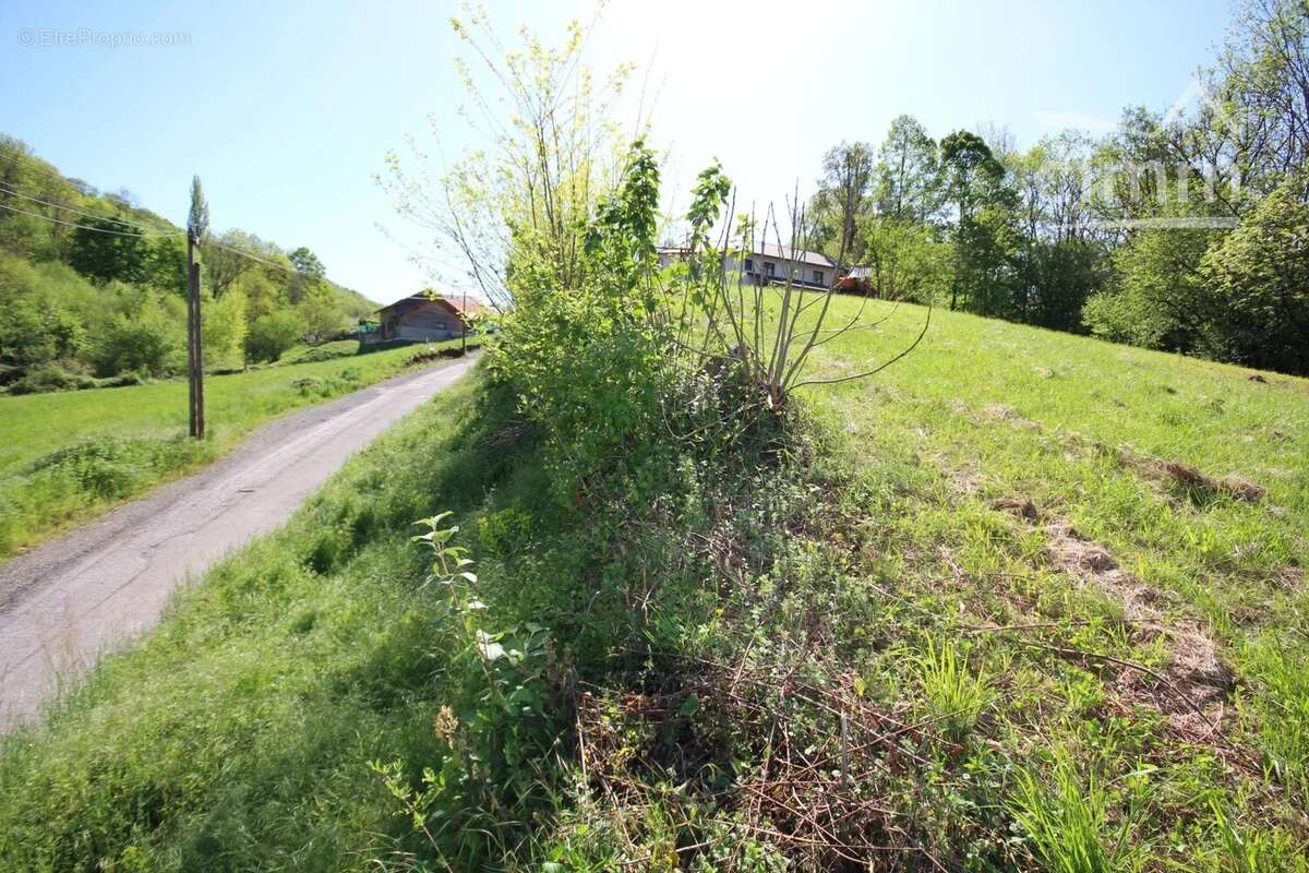 Terrain à LES MOLLETTES