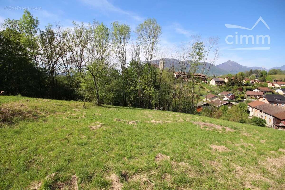 Terrain à LES MOLLETTES