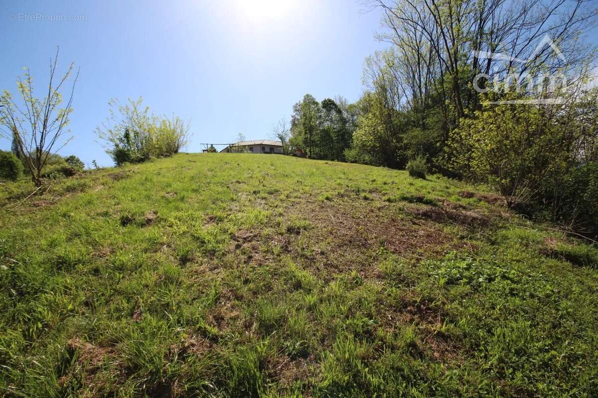 Terrain à LES MOLLETTES