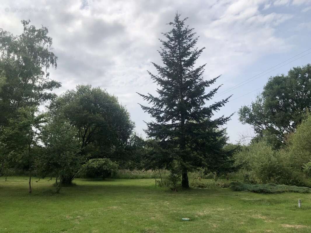 Maison à AZAT-LE-RIS