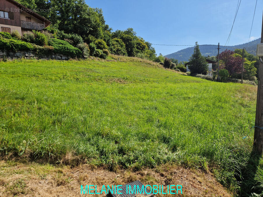 Terrain à CORNIMONT