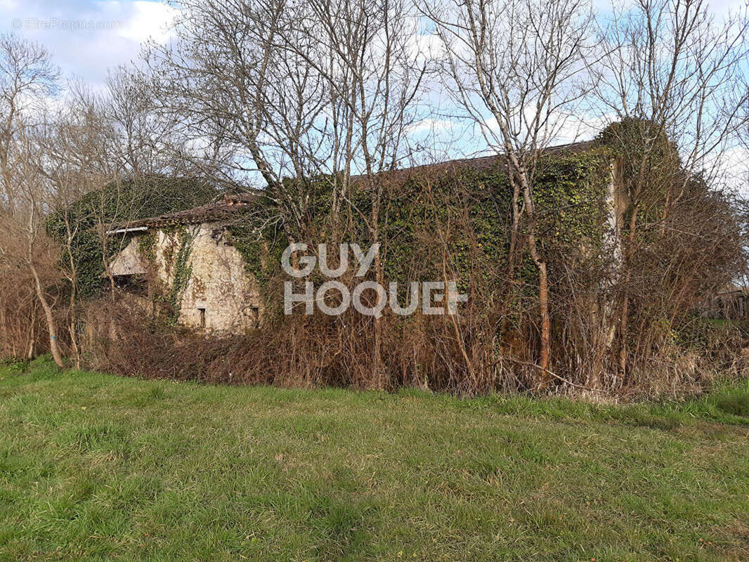 Terrain à LISTRAC-MEDOC