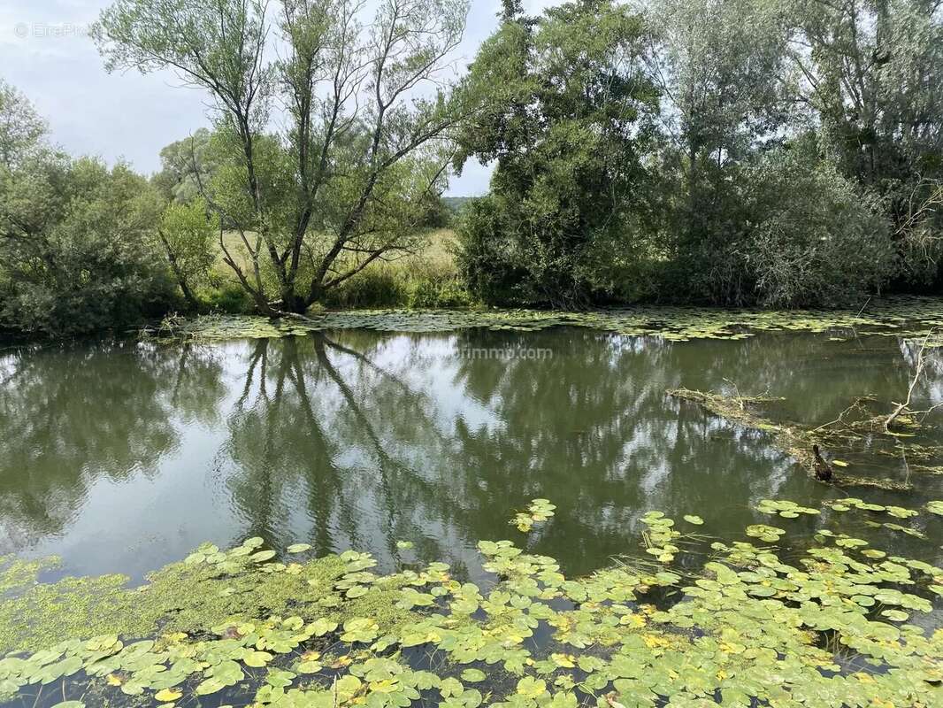 Maison à MAXEY-SUR-MEUSE