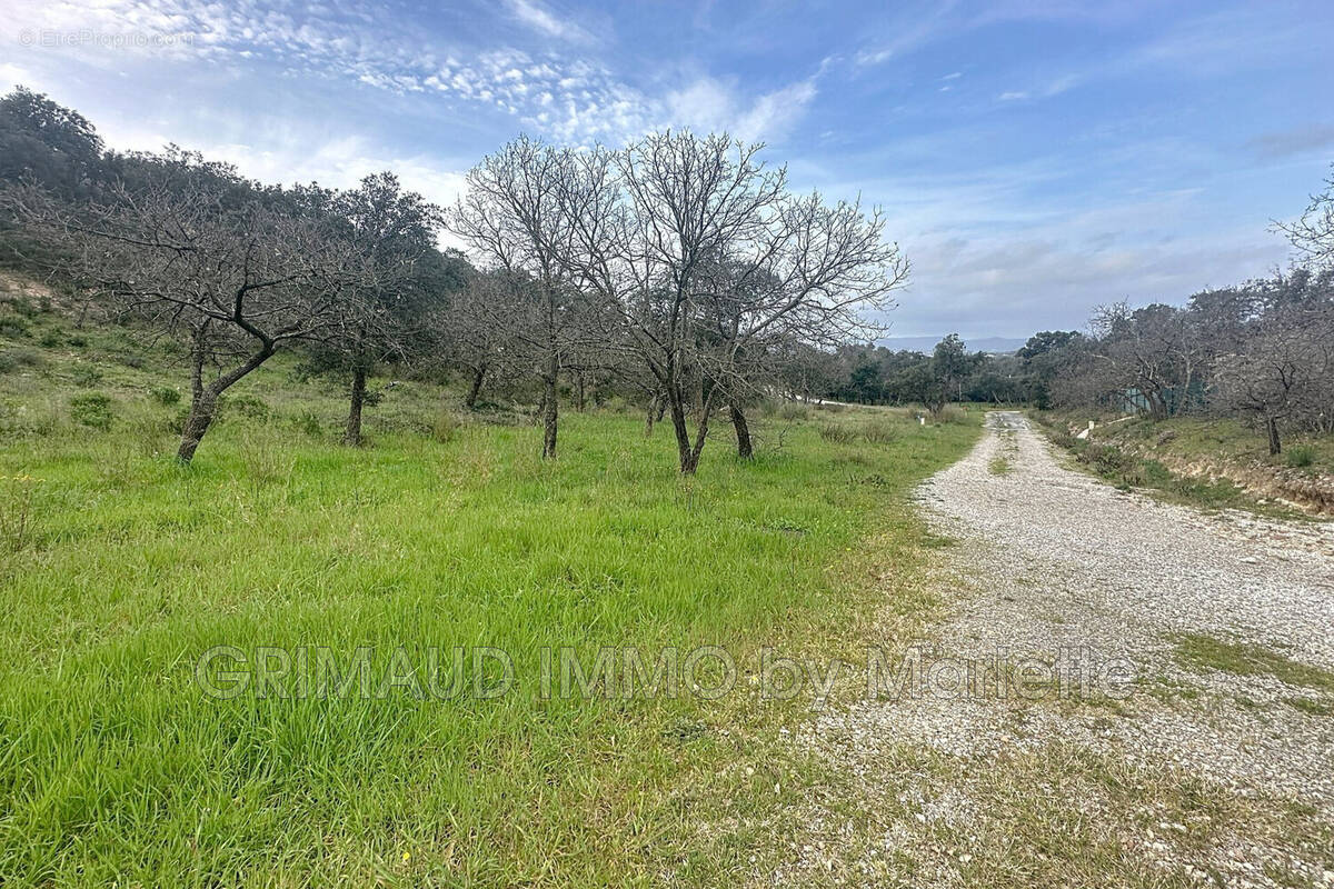 Terrain à GRIMAUD