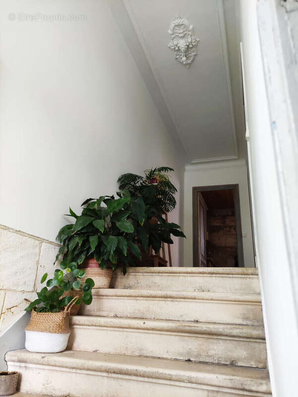 Photo 2 - Maison à LORMONT