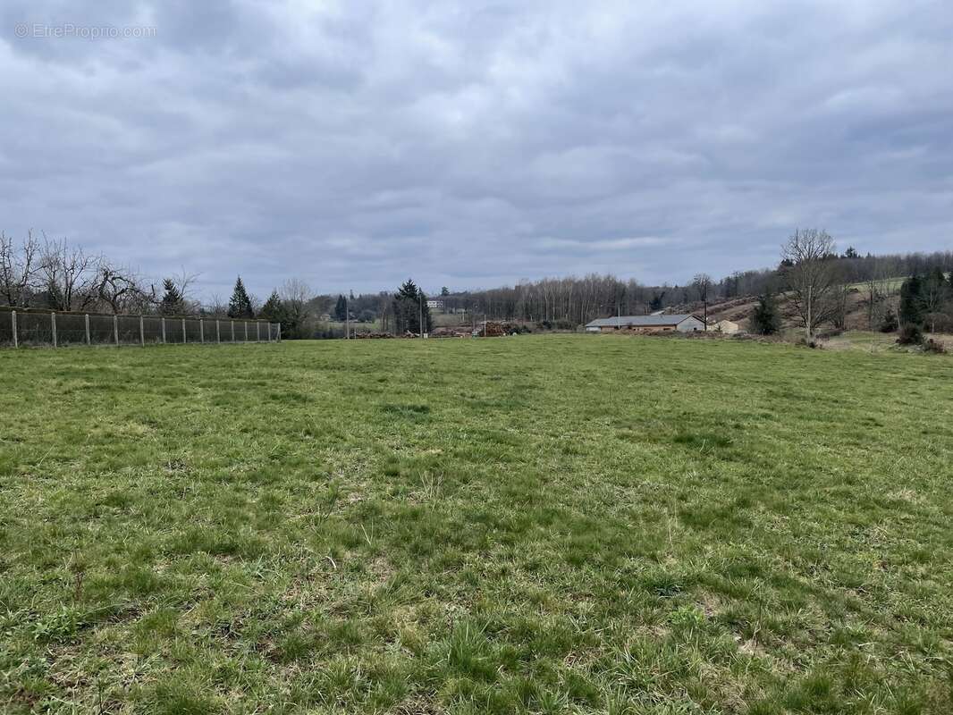 Terrain à SAINT-MARTIN-TERRESSUS