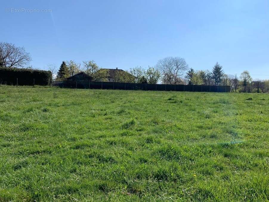 Terrain à SAINT-MARTIN-TERRESSUS