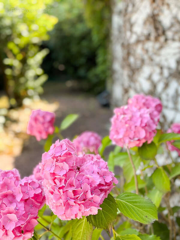 Maison à SAINT-GREGOIRE