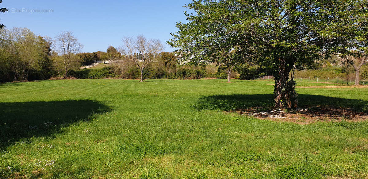 Maison à SAN-GIULIANO