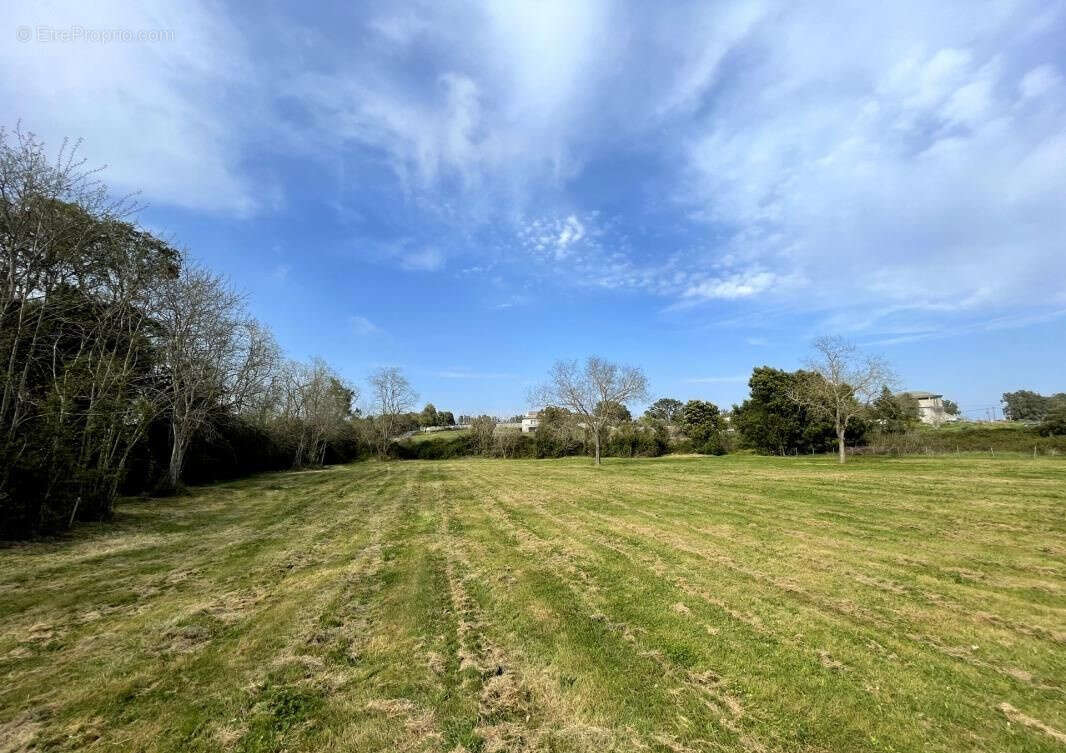 Maison à SAN-GIULIANO