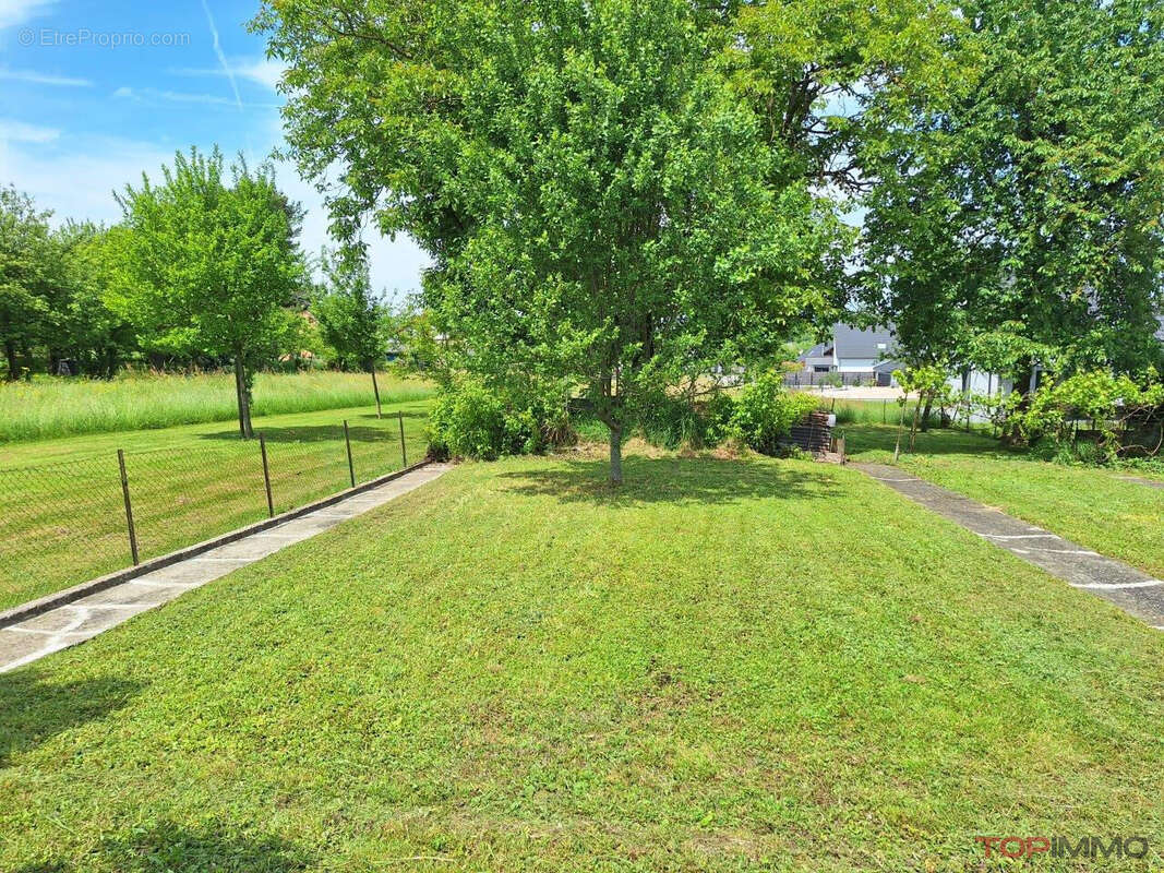 Maison à PFETTERHOUSE