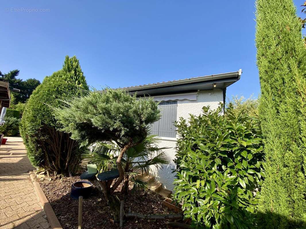 Photo 4 - Maison à COLLONGES-AU-MONT-D&#039;OR