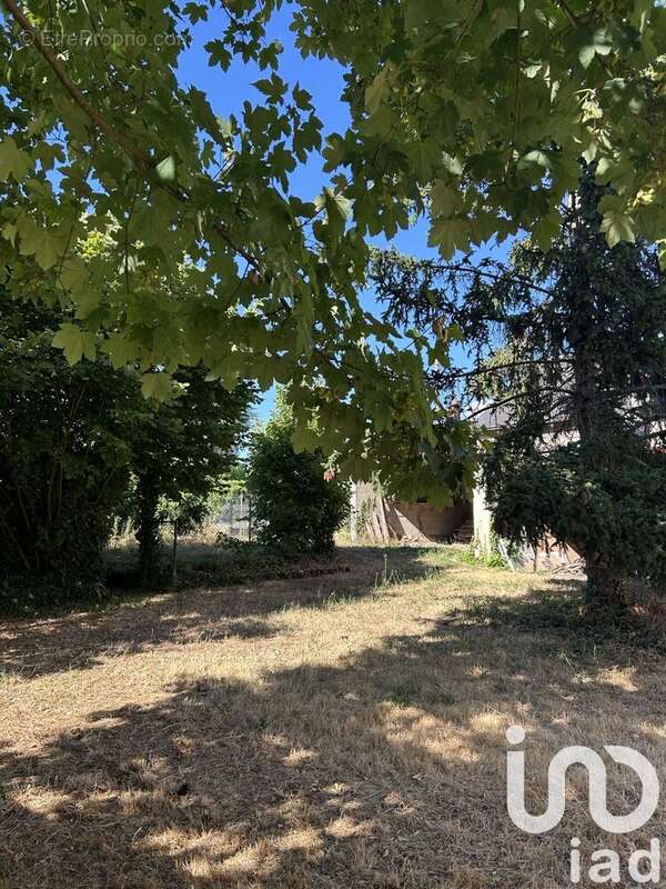 Photo 4 - Maison à SAINT-AMBROIX