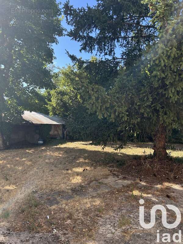 Photo 5 - Maison à SAINT-AMBROIX