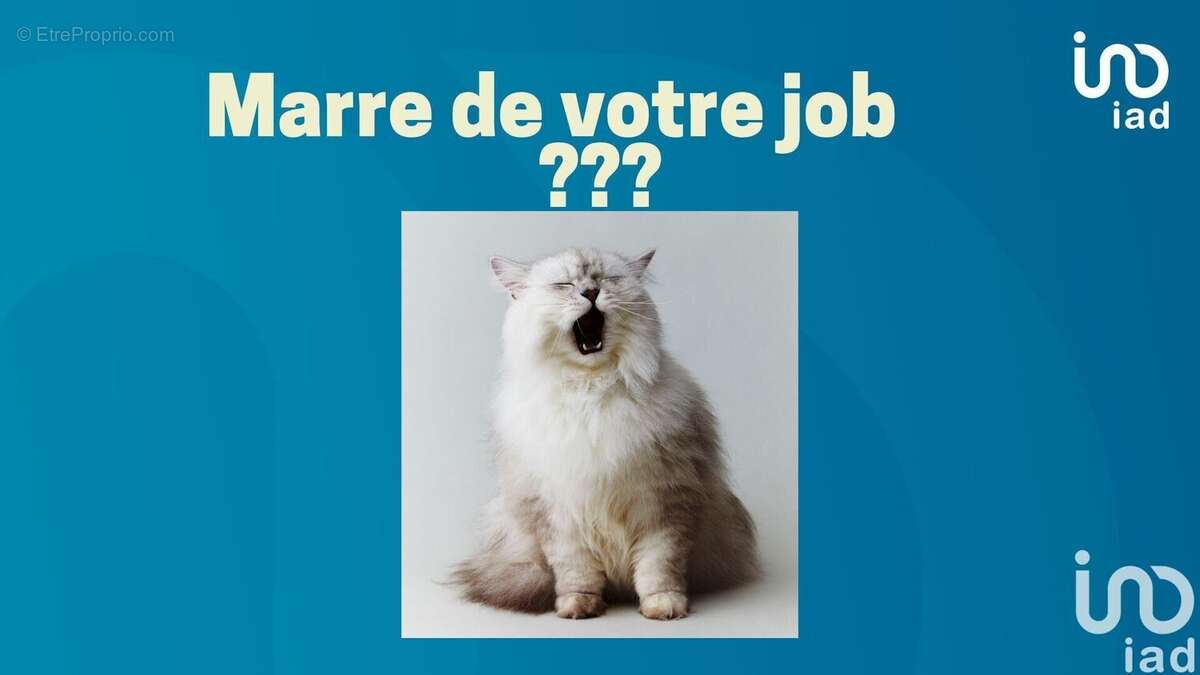 Photo 2 - Commerce à CAHORS