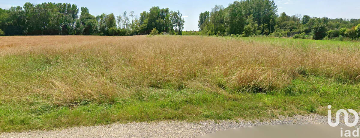 Photo 1 - Terrain à COURTISOLS