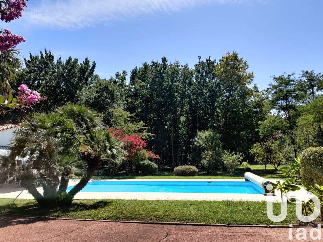 Photo 3 - Maison à SAINT-SULPICE-DE-ROYAN