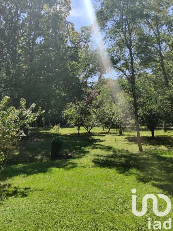 Photo 4 - Maison à SAINT-SULPICE-DE-ROYAN