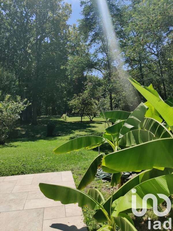 Photo 5 - Maison à SAINT-SULPICE-DE-ROYAN