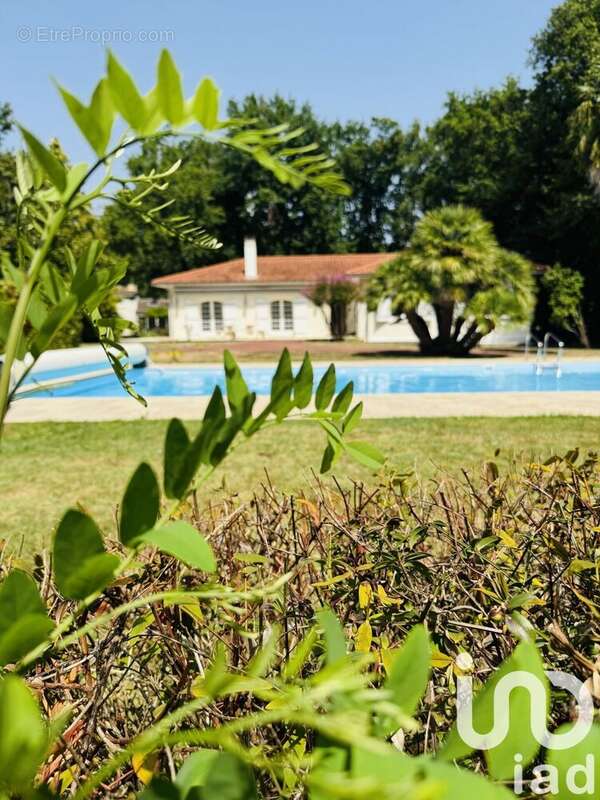 Photo 7 - Maison à SAINT-SULPICE-DE-ROYAN