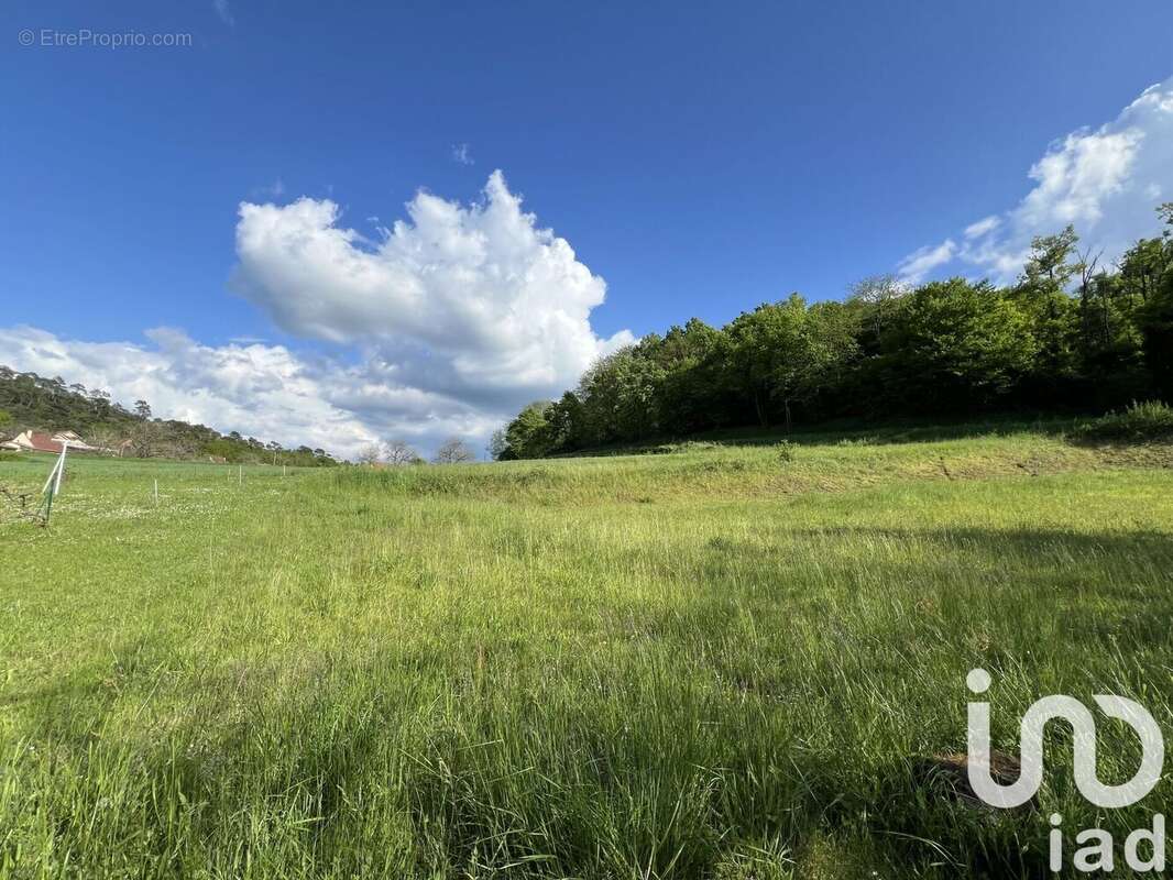 Photo 2 - Terrain à CARSAC-AILLAC
