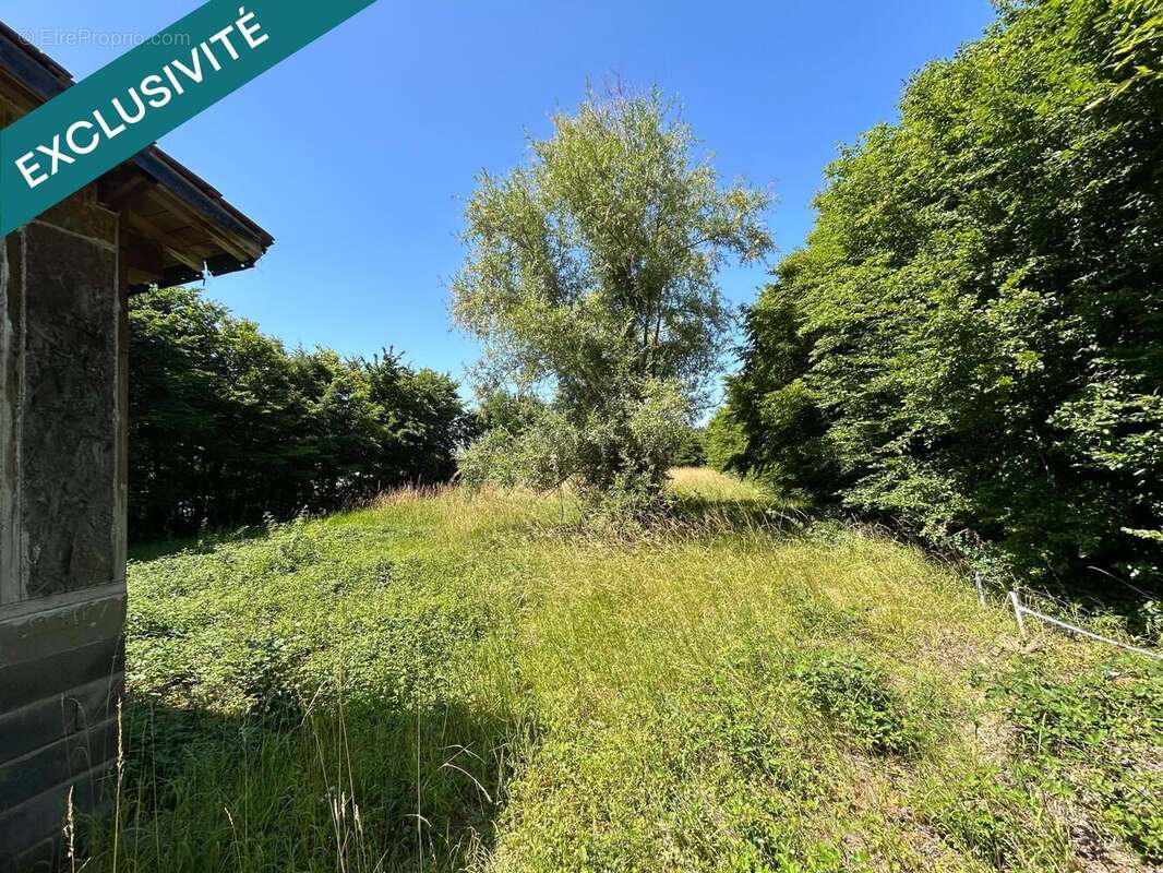 Photo 5 - Maison à BROUT-VERNET