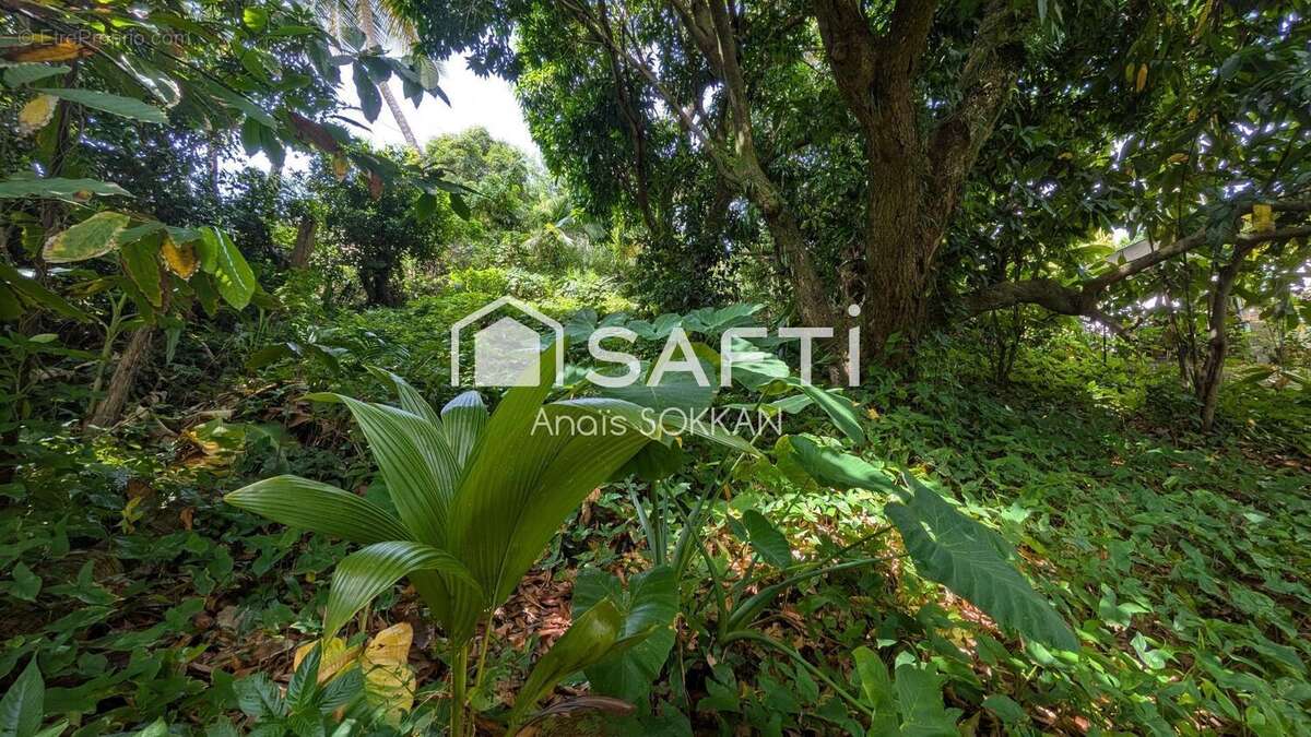 Photo 3 - Terrain à LA TRINITE