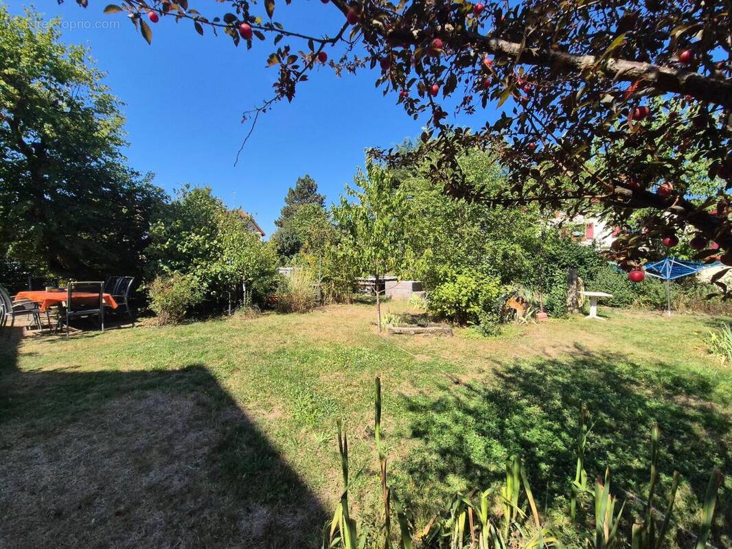 Photo 1 - Maison à WITTELSHEIM