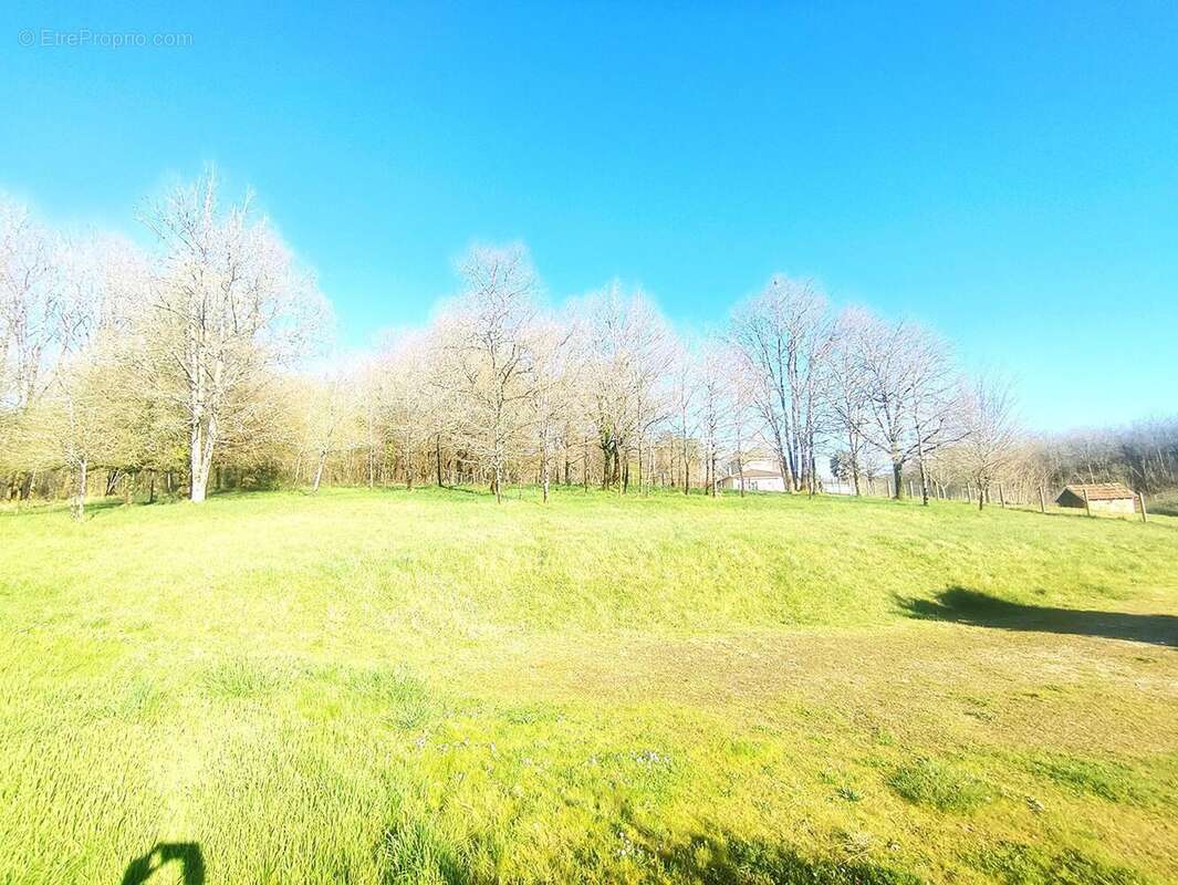 Photo 3 - Maison à SAINT-FRONT-LA-RIVIERE