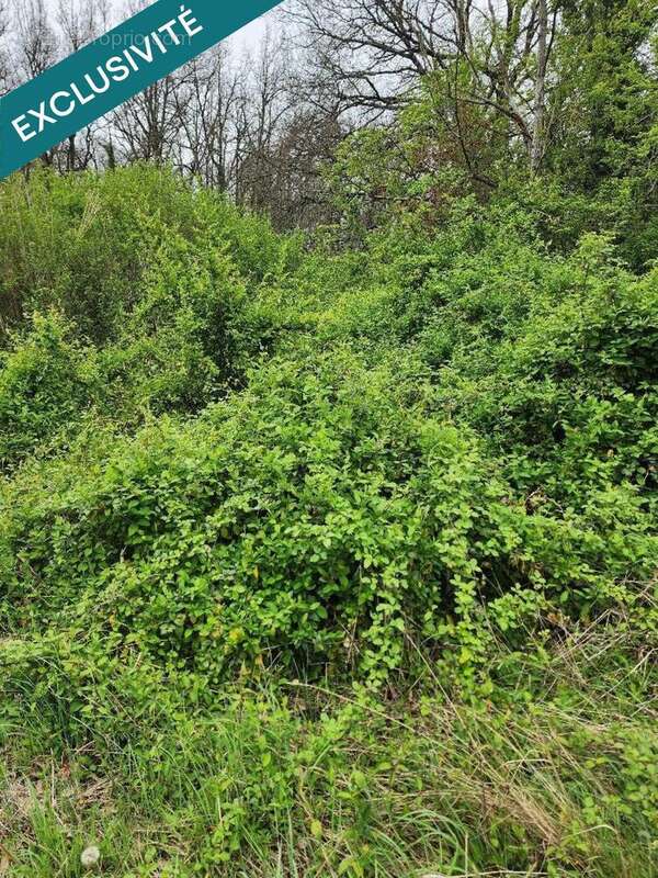 Photo 2 - Terrain à LAUNAGUET