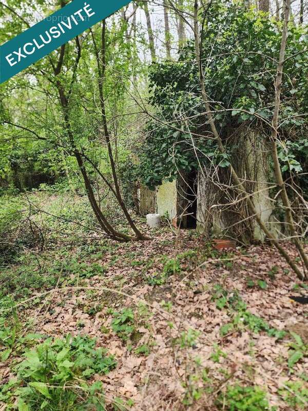 Photo 3 - Terrain à LAUNAGUET