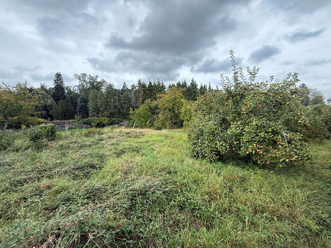 Terrain à GERBEVILLER