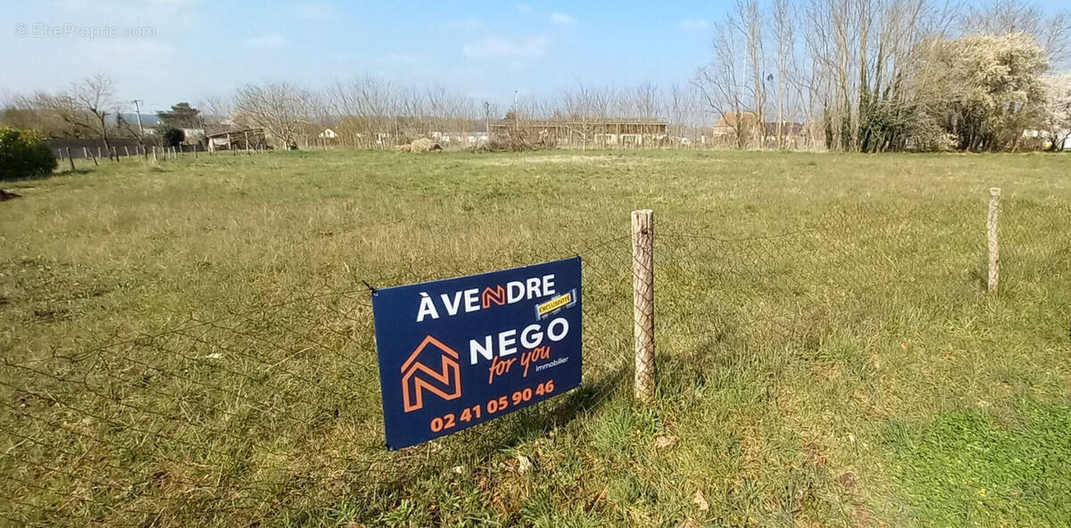 Terrain à MORANNES