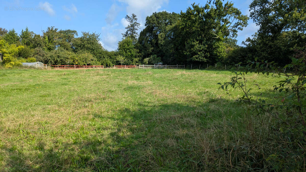 Maison à SAINT-JOSEPH