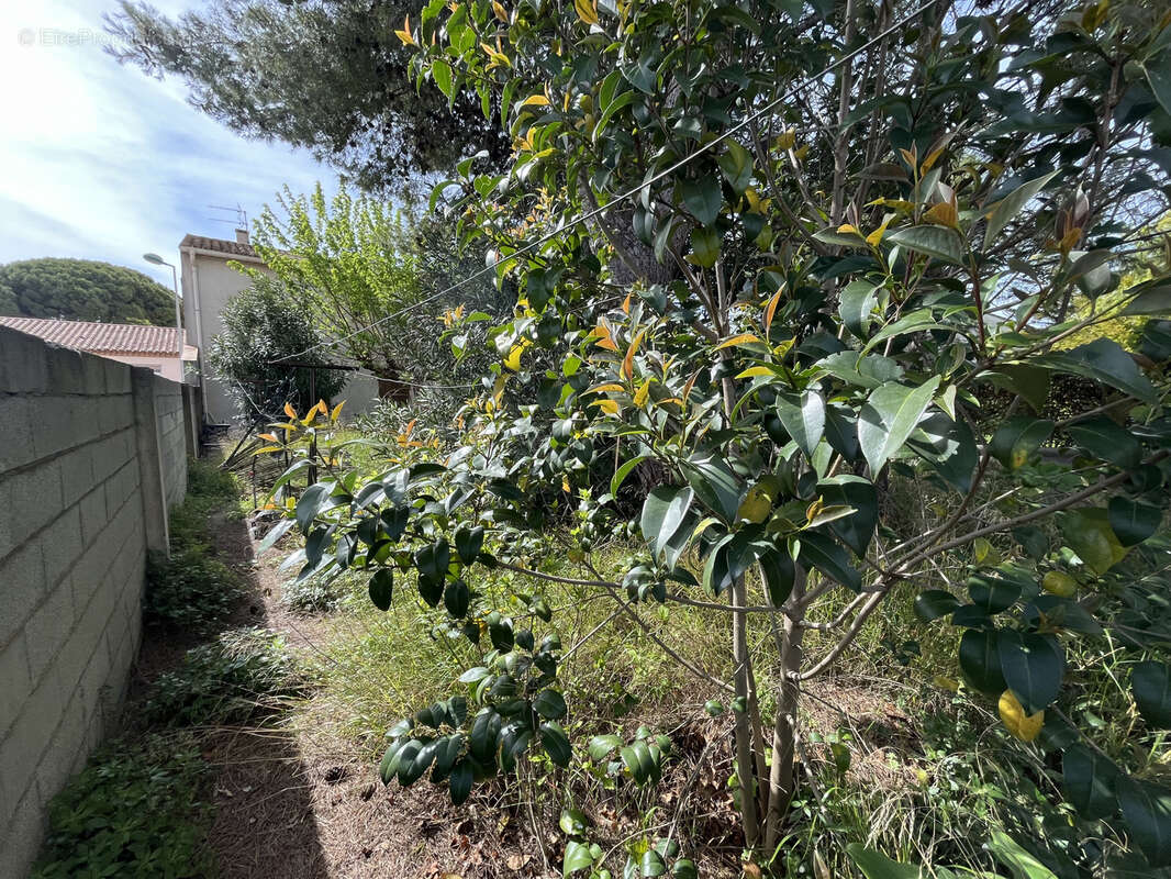 Maison à LEZIGNAN-CORBIERES
