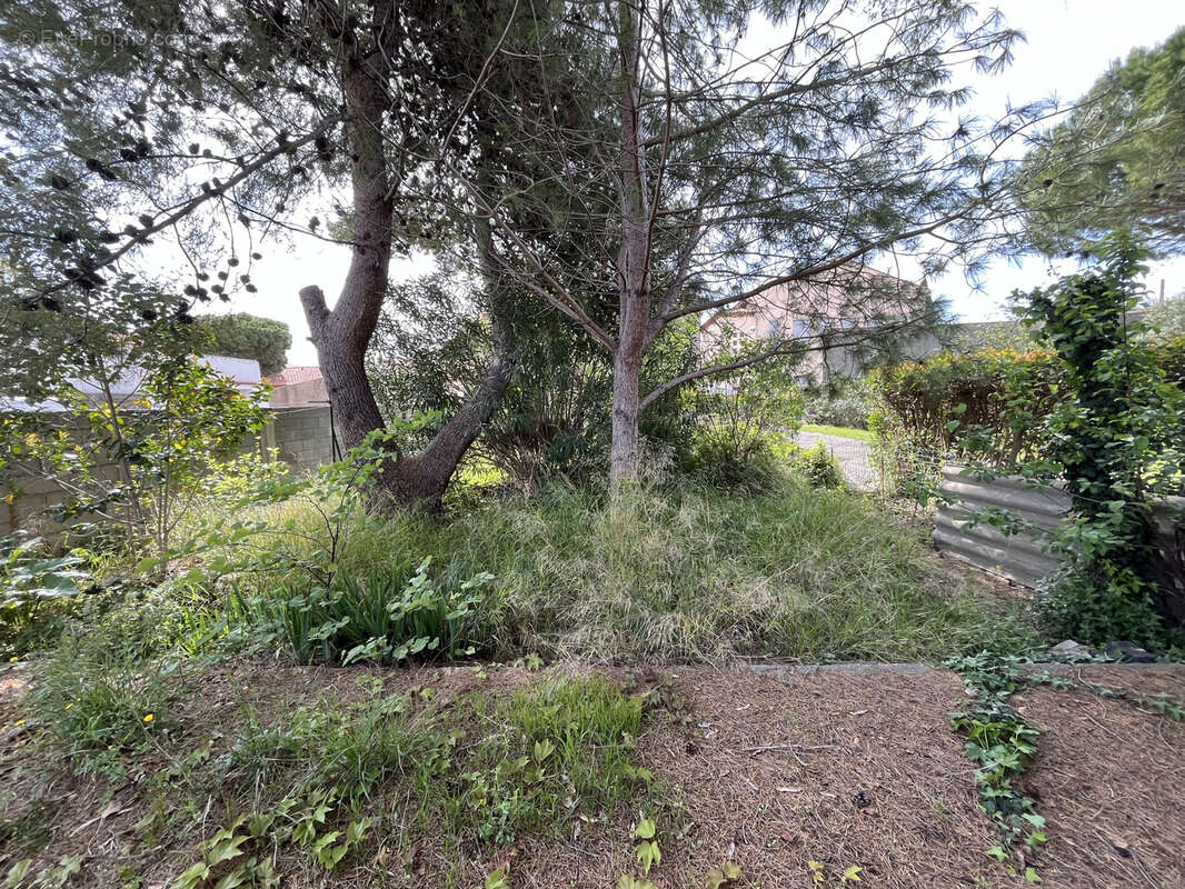 Maison à LEZIGNAN-CORBIERES