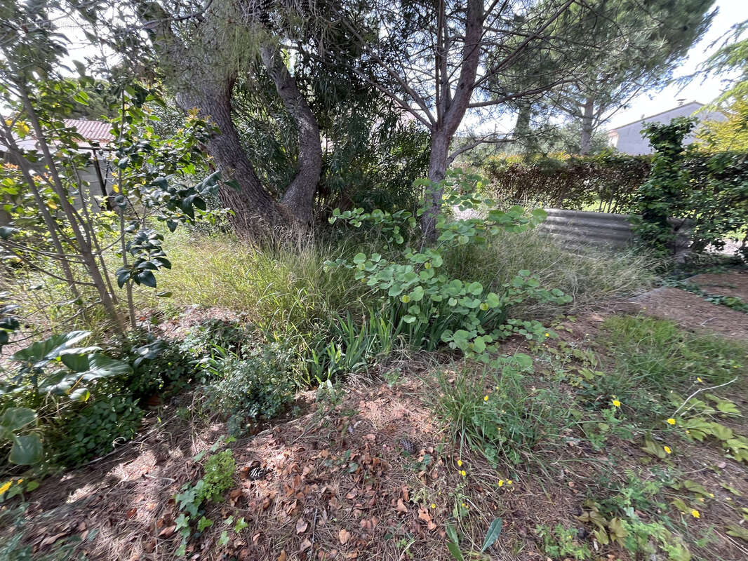 Maison à LEZIGNAN-CORBIERES