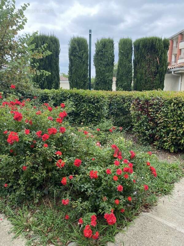 Appartement à MURET