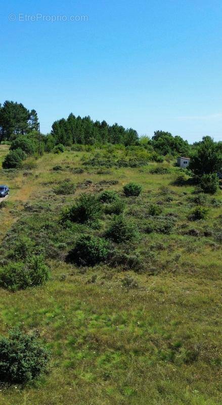 Terrain à LES ASSIONS