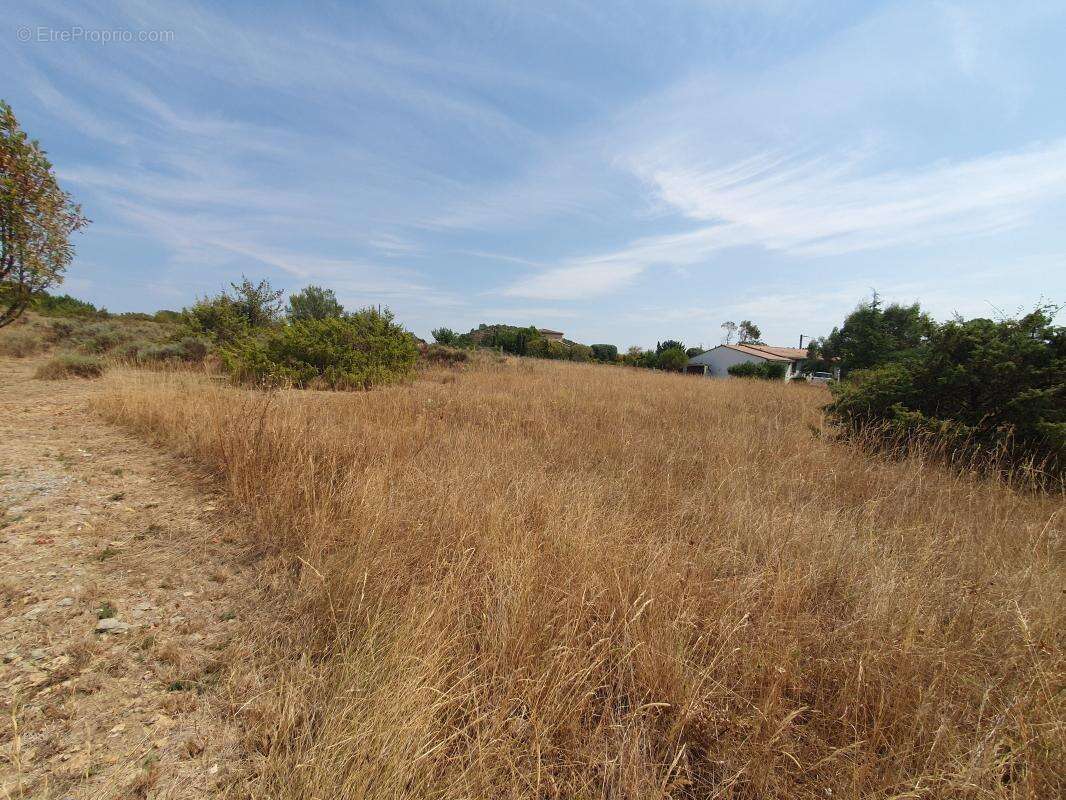 Terrain à LES ASSIONS