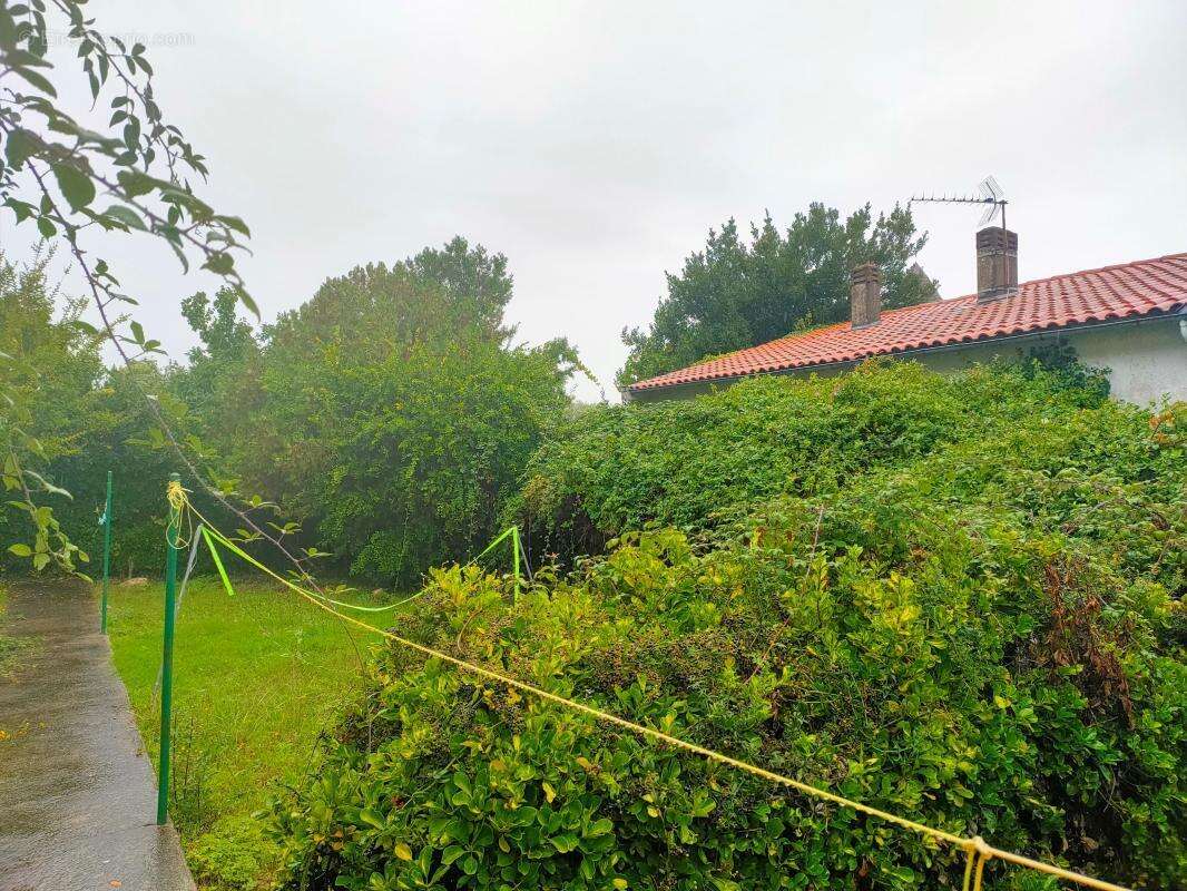 Terrain à LA ROCHELLE