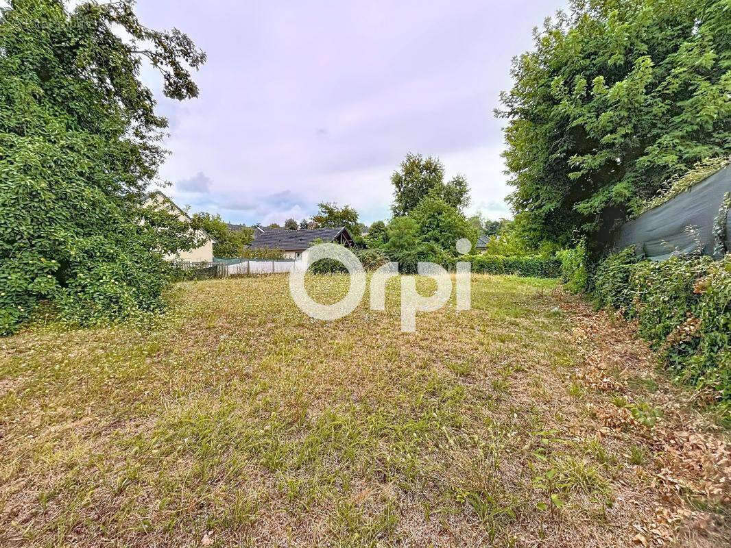 Terrain à BRIVE-LA-GAILLARDE