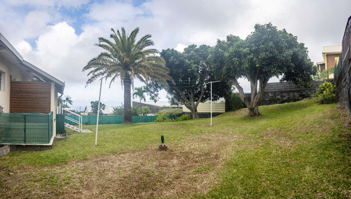 Commerce à PETITE-ILE