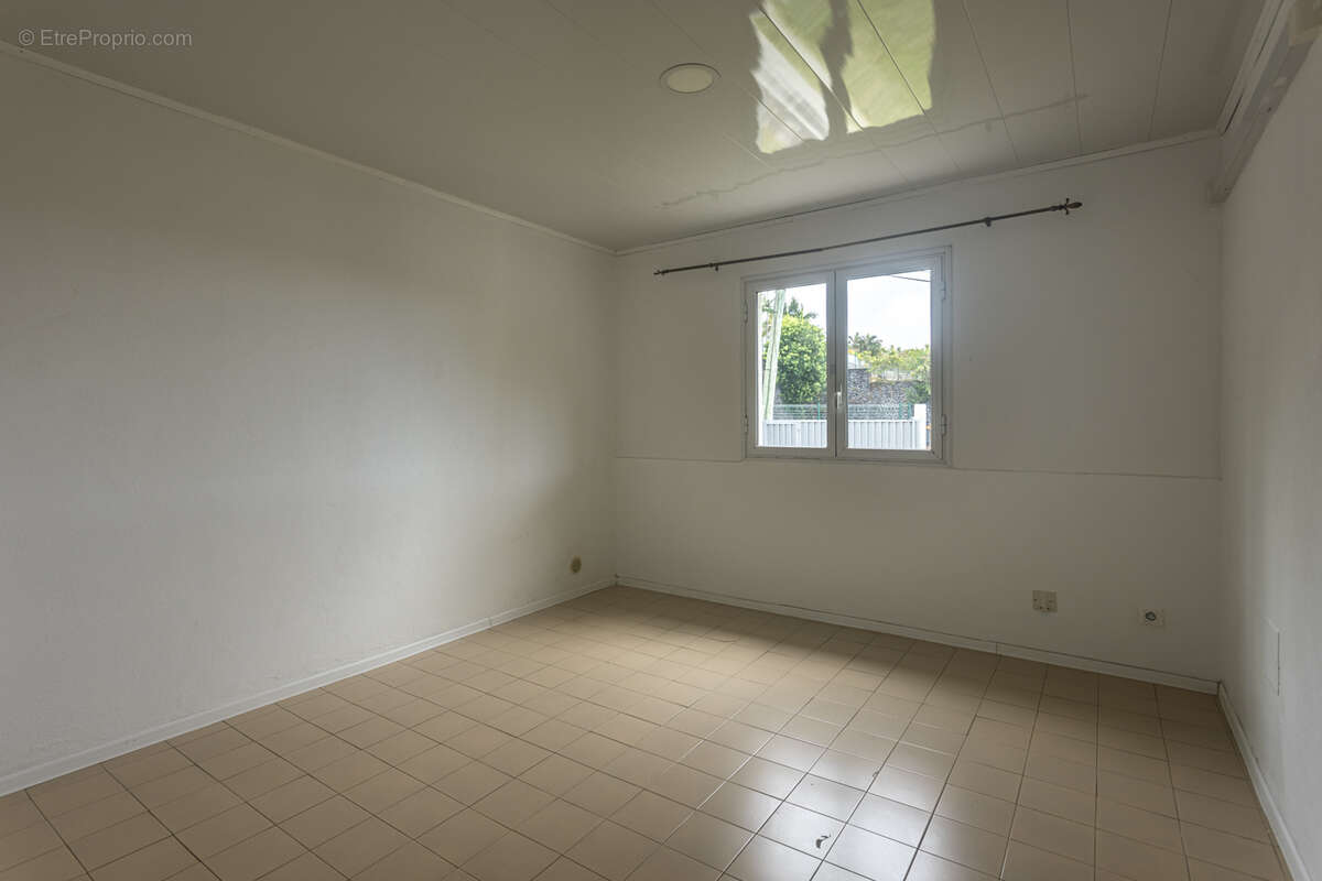 Commerce à PETITE-ILE