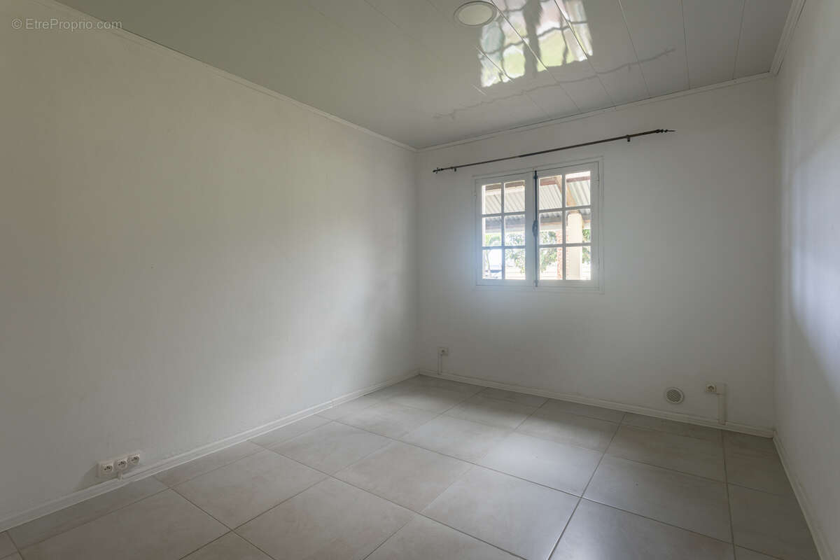 Commerce à PETITE-ILE