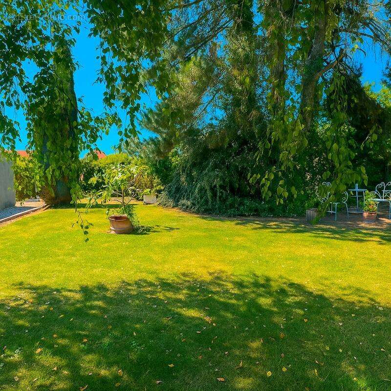 Terrain à MONCHEAUX