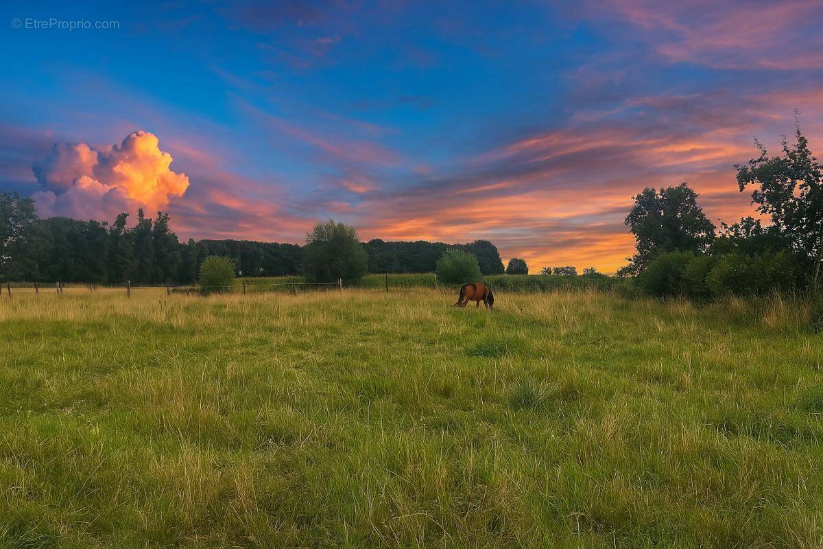 Terrain à MONCHEAUX
