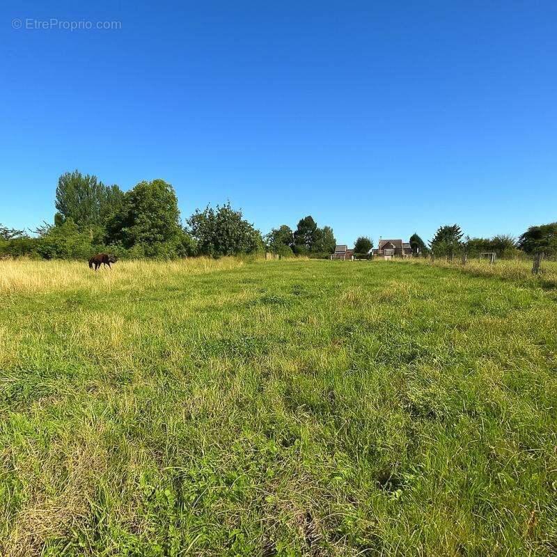 Terrain à MONCHEAUX