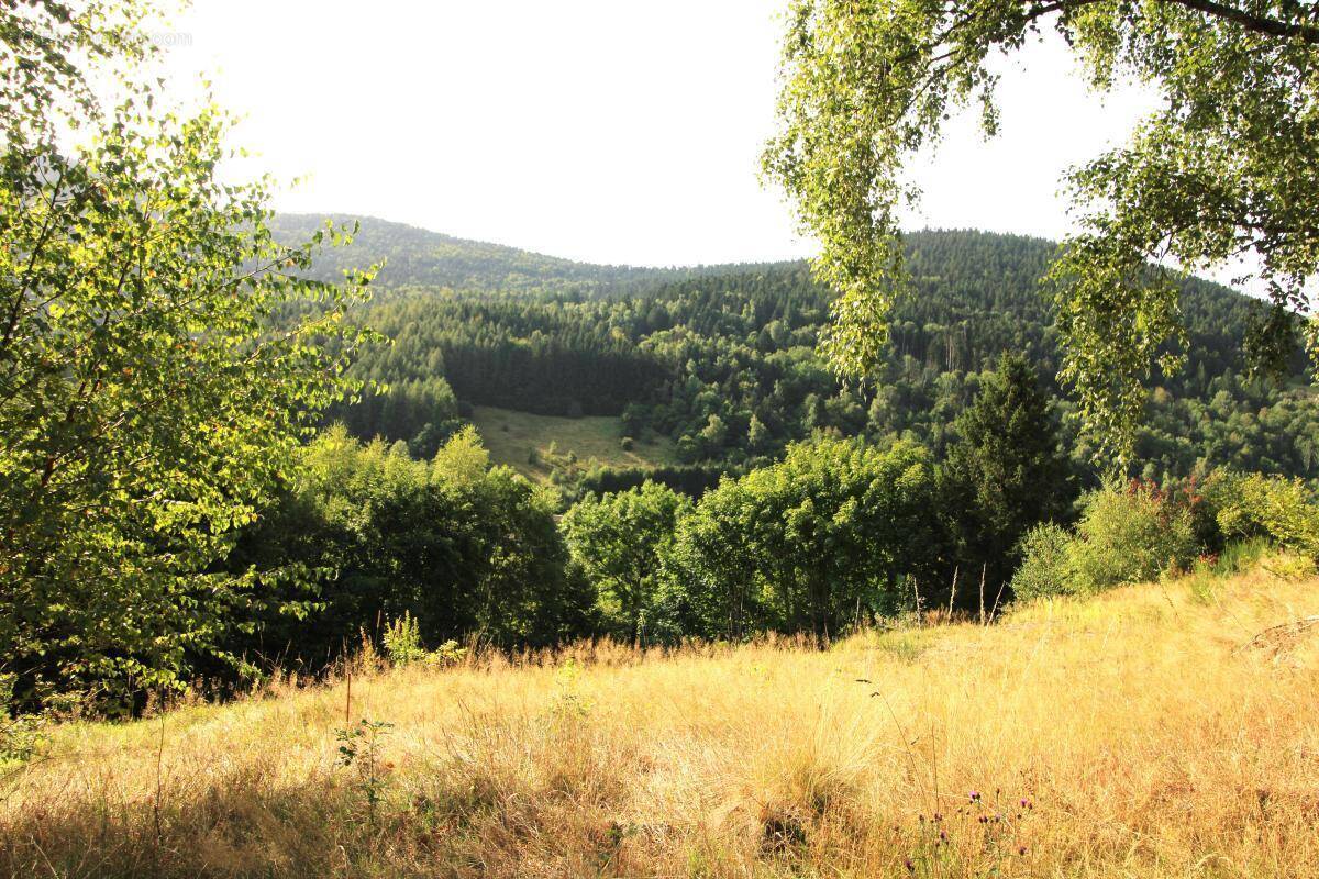 Terrain à BUSSANG