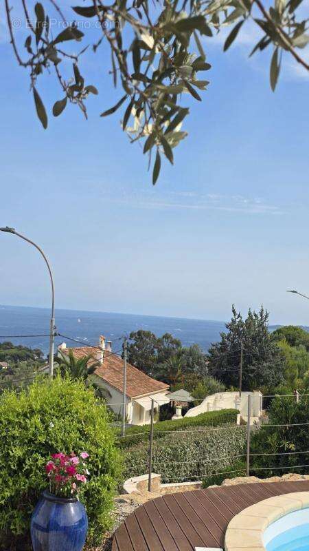 Maison à LES ISSAMBRES